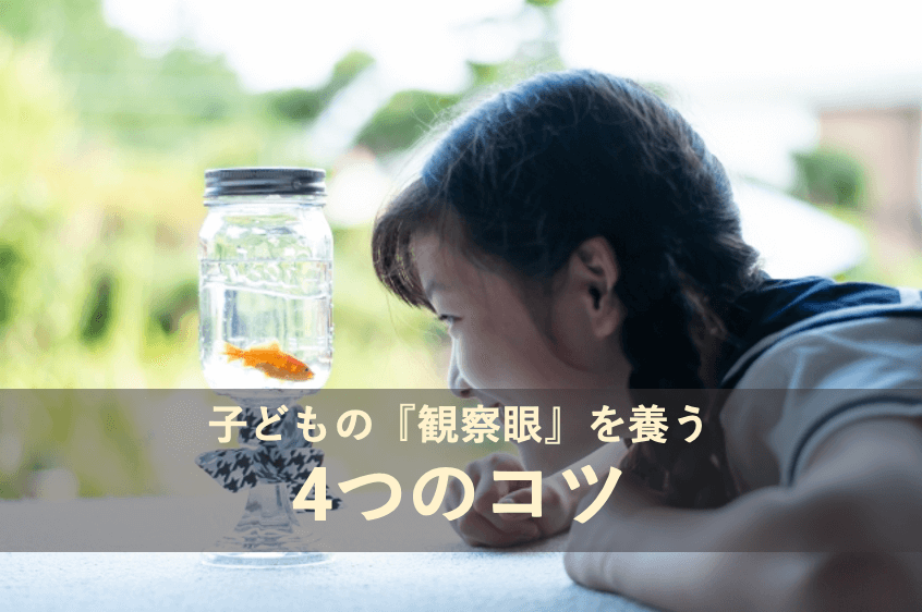 子どもの『観察眼』を養う4つのコツ