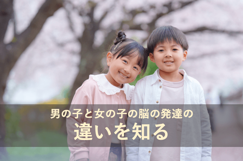 男の子と女の子の脳の発達の違いを知る