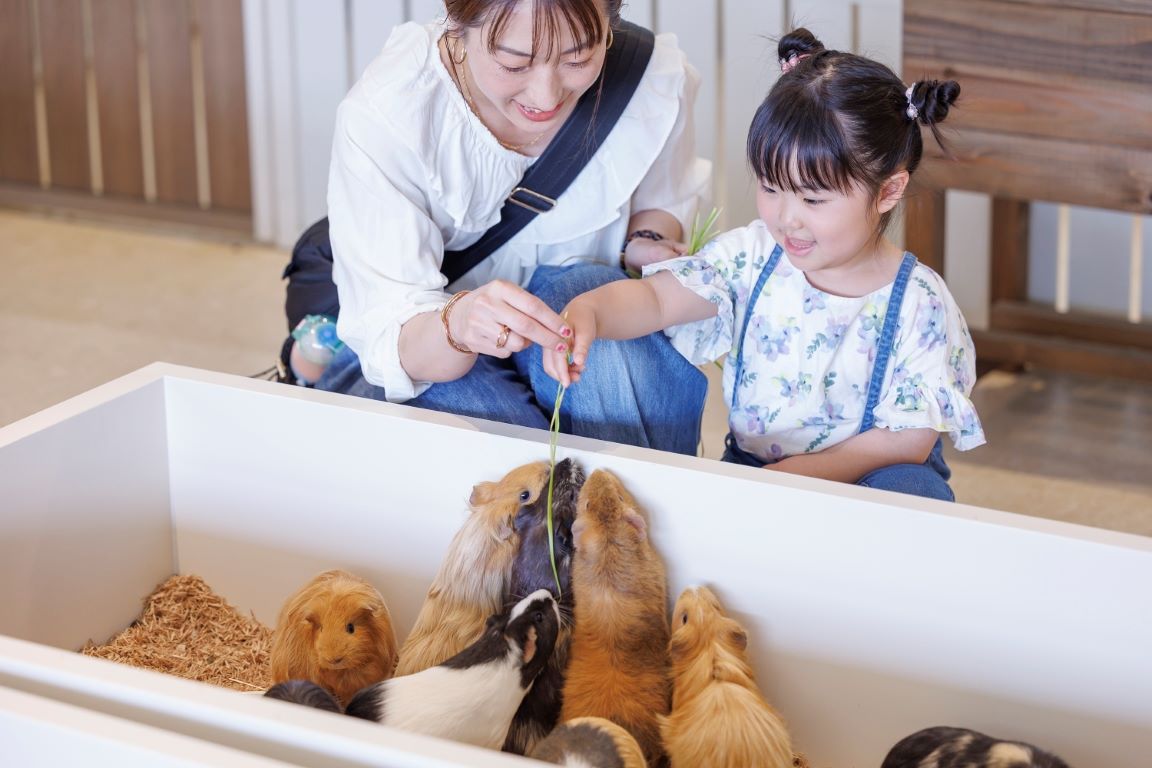 東京ドームシティ都内最大の屋内型ふれあい動物園『アニタッチ 東京ドームシティ』オープン！！